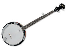 Overige snaarinstrumenten