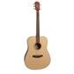 Morgan Guitars W104 Natural
