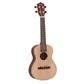 Morgan Guitars UK-C200 Natural