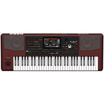 Korg Pa1000