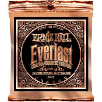 Ernie Ball 2548 Everlast Coated Phosphor Bronze Acoustic Light