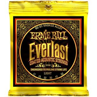Ernie Ball 2558 Everlast Coated 80/20 Bronze Acoustic Light