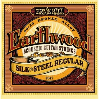 Ernie Ball 2043 Earthwood Silk And Steel Regular