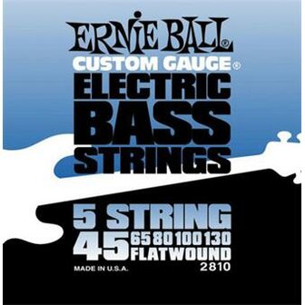 Ernie Ball 2810 Flatwound Bass 5-String
