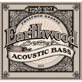 Ernie Ball 2070 Earthwood Acoustic Bass