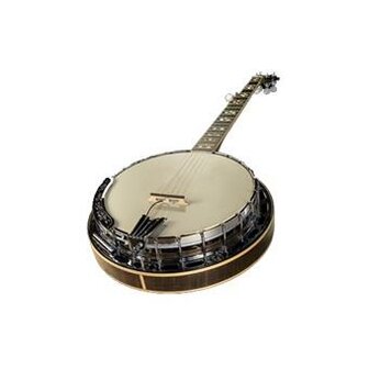 LR Baggs Banjo pickup