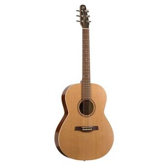 Seagull Coastline S6 Folk Cedar