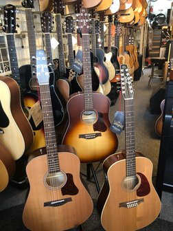 Seagull gitaren in de winkel