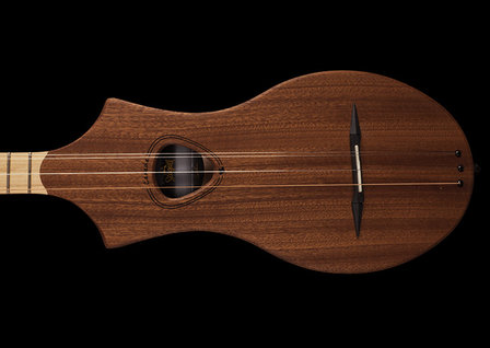 Seagull M4 Mahony Merlin Dulcimer(achtig)