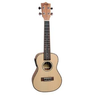 Morgan Guitars UK-T250SE Natural