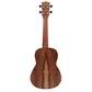 Morgan Guitars UK-T500E Natural Koa