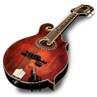 LR Baggs RADIUS Mandolin