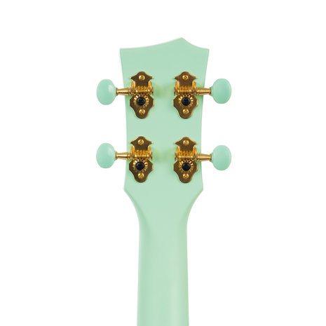 Cascha Carbon Ukulele Mint (set)