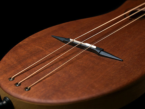 Seagull M4 Mahony Merlin Dulcimer(achtig)