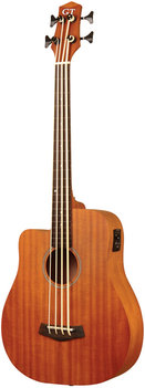 GOLD TONE M-BASS25/FL/L GOLD TONE M-BASS25/FL/L