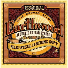 Ernie Ball 2051 Earthwood Silk And Steel 12-String Soft
