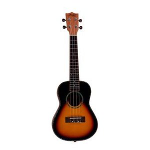 Morgan Guitars UK-T250S SB Sunburst
