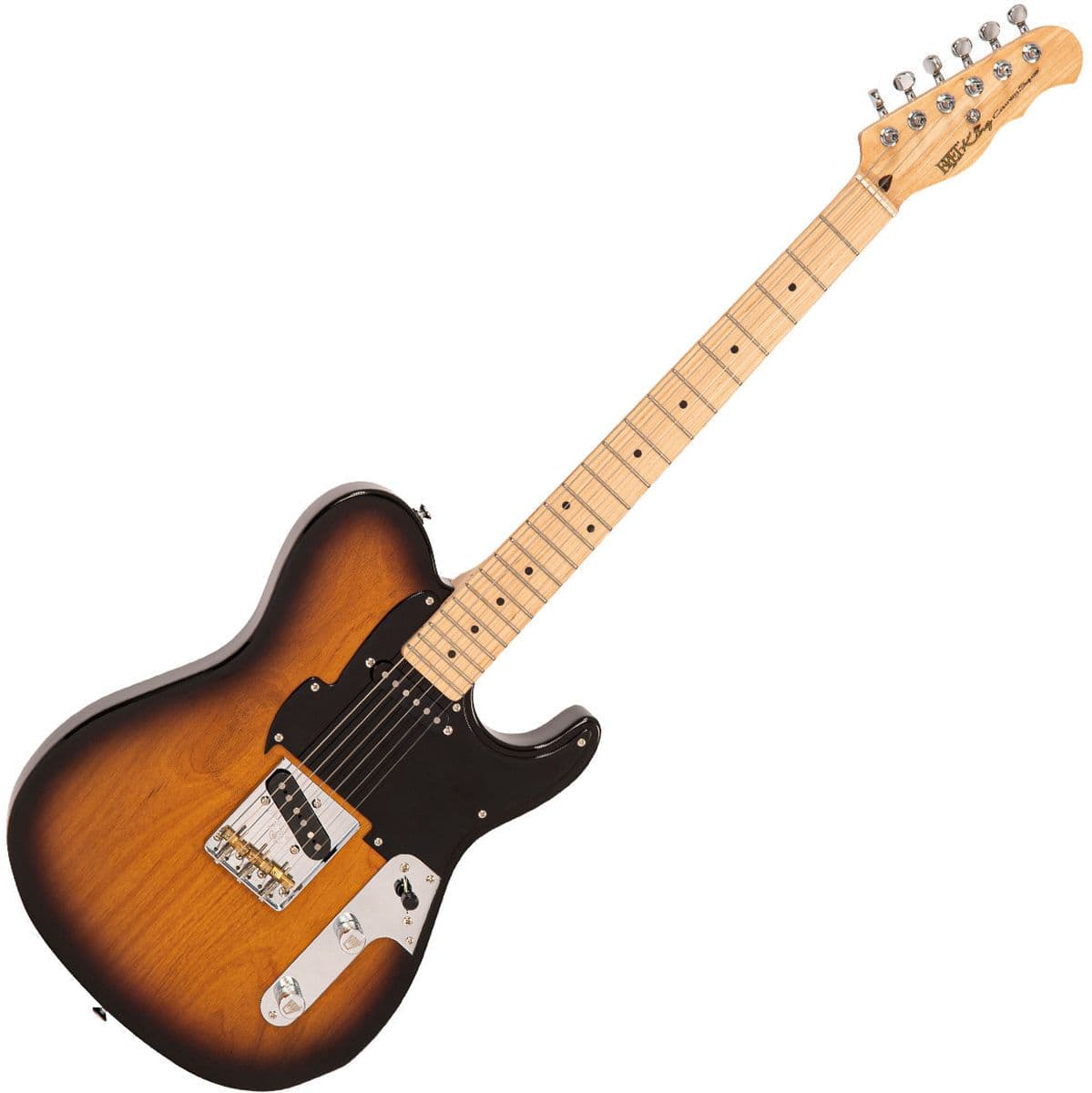 TE (Telecaster) Style