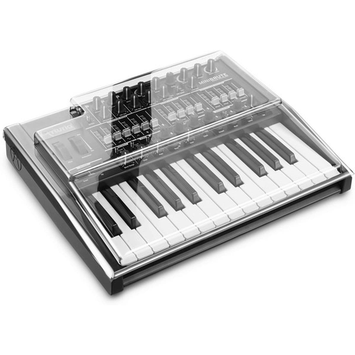 Synth Tas/Hoes-Accessoires
