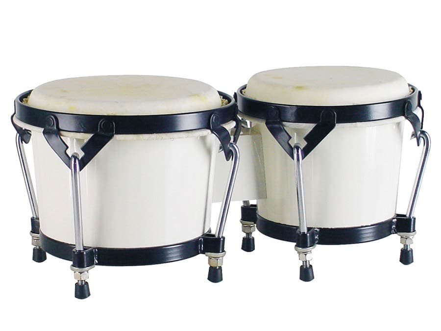 BG-405-WH bongo — Hayman