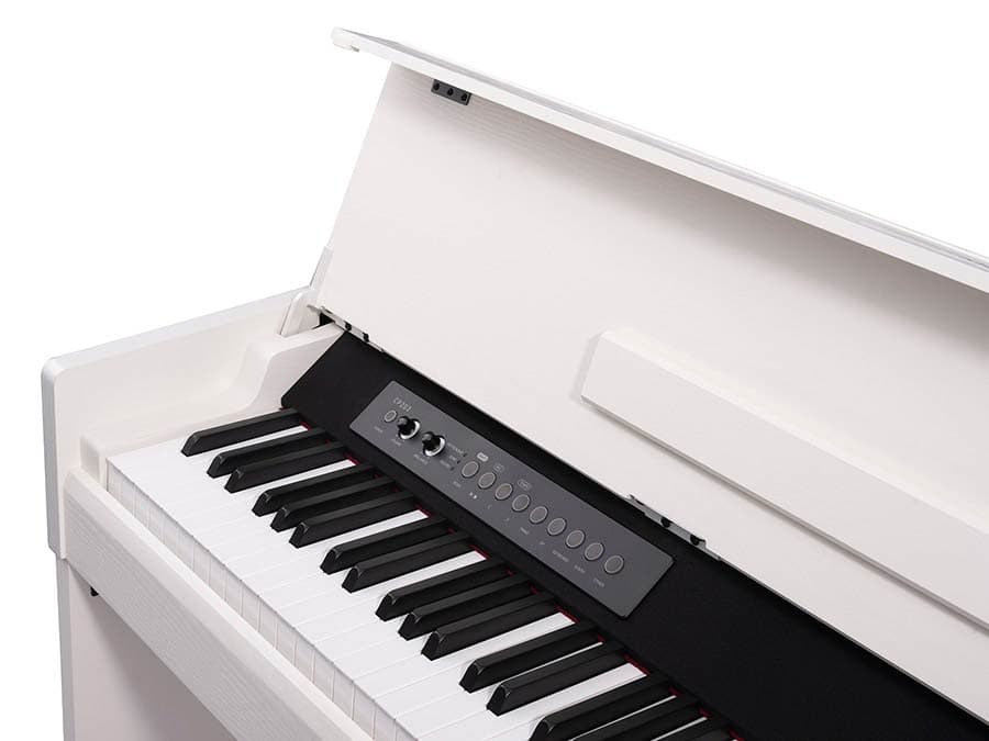 CP203/WH Andromeda Series — Medeli