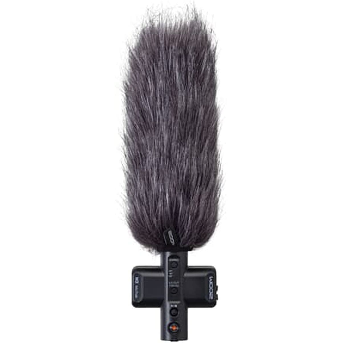 WSU-2 — Zoom