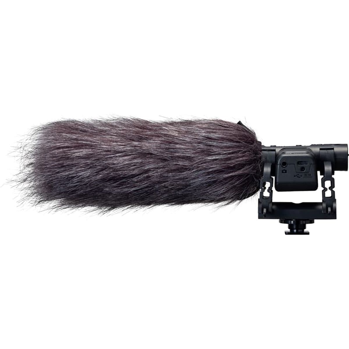 WSU-2 — Zoom