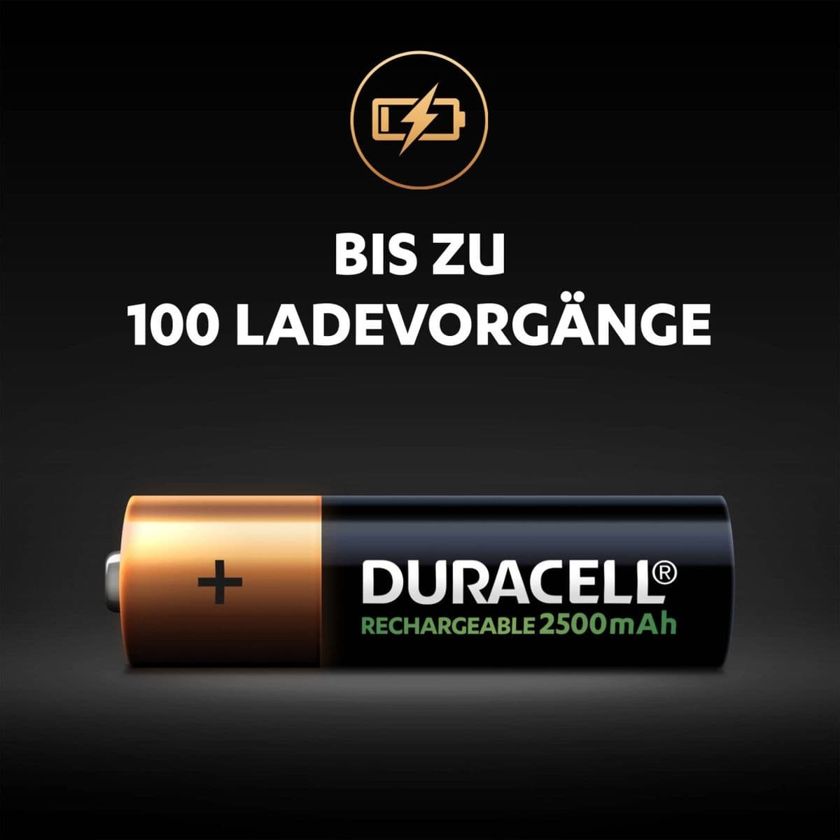 Duralock Precharged AA 2400mAh 4 Pak — Duracell