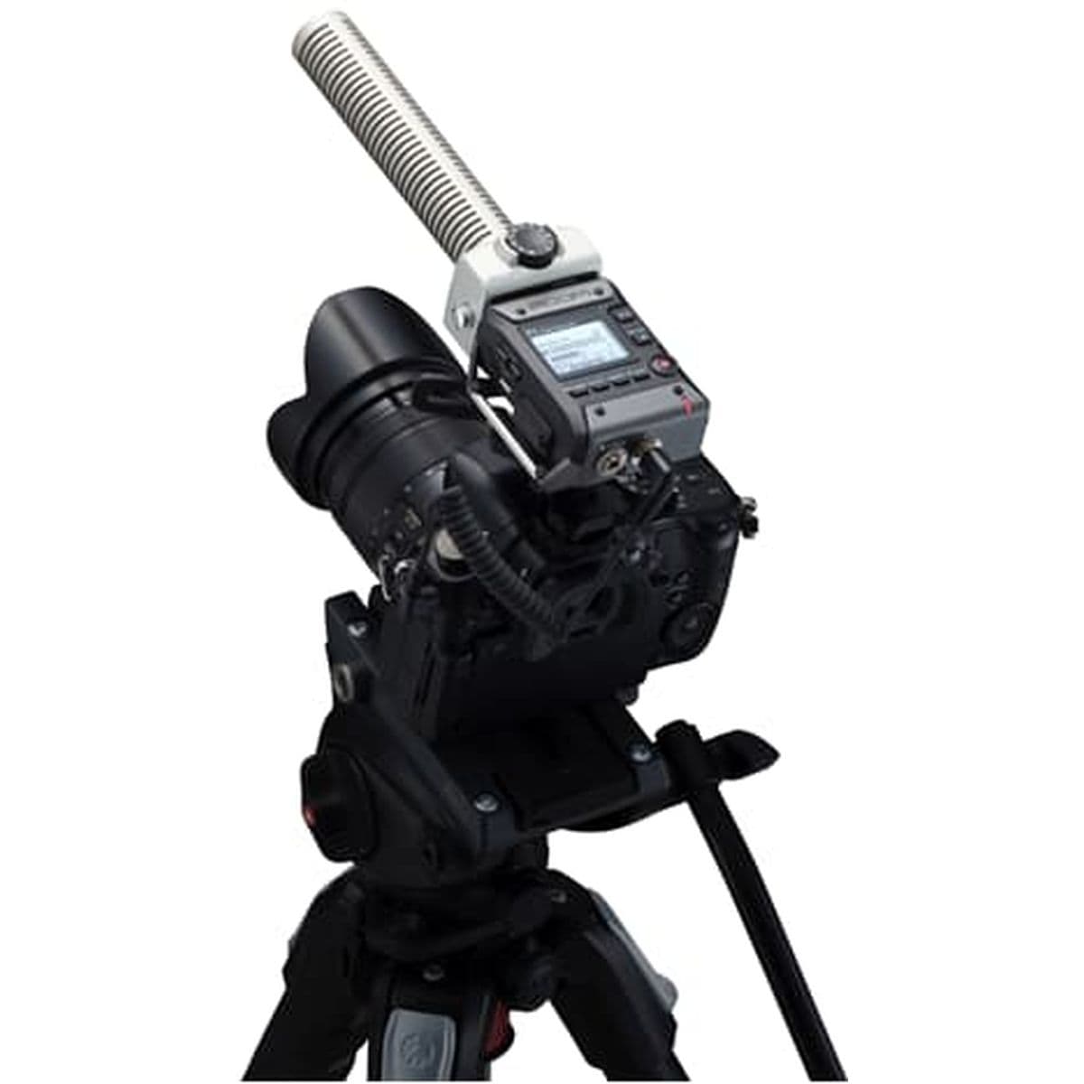 F-1 SP Field Rec — Zoom