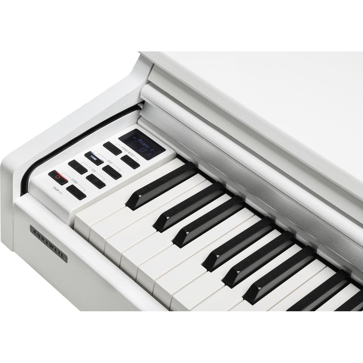 Cup M1-WH — Kurzweil