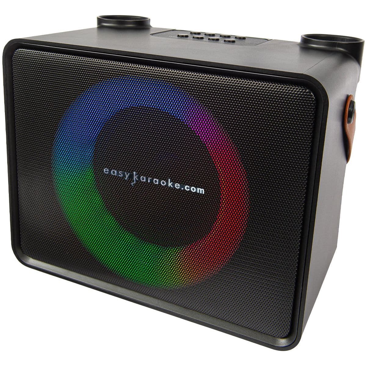 Dual Microphone Bluetooth Speaker — Easy Karaoke