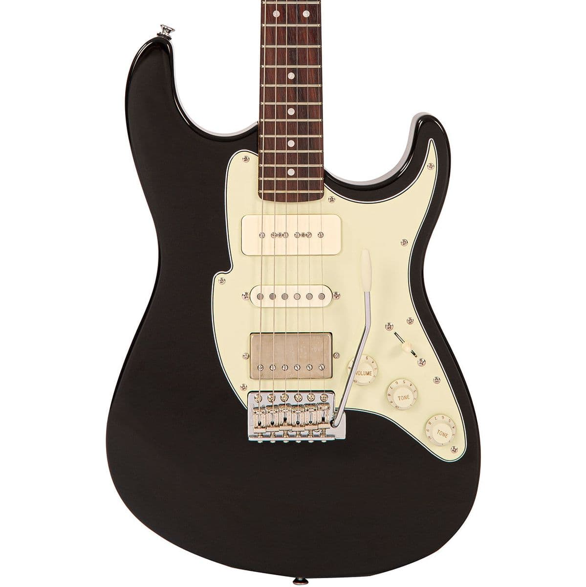 Corona Custom Guitar - Gloss Black — Fret-King