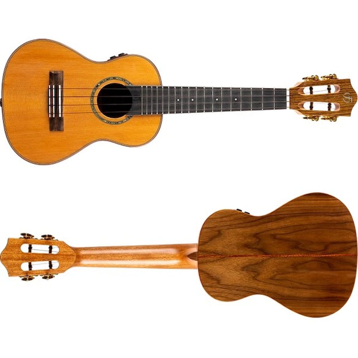 Diana Ce Soundwave EL-AC Solid Top Ced/Walnut Concert Uke — Flight Ukuleles