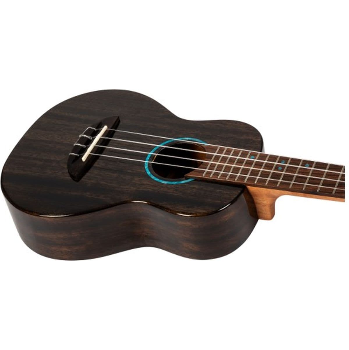 Iris Tinta Concert TBK Solid Mahog Concert Uke TR Black — Flight Ukuleles