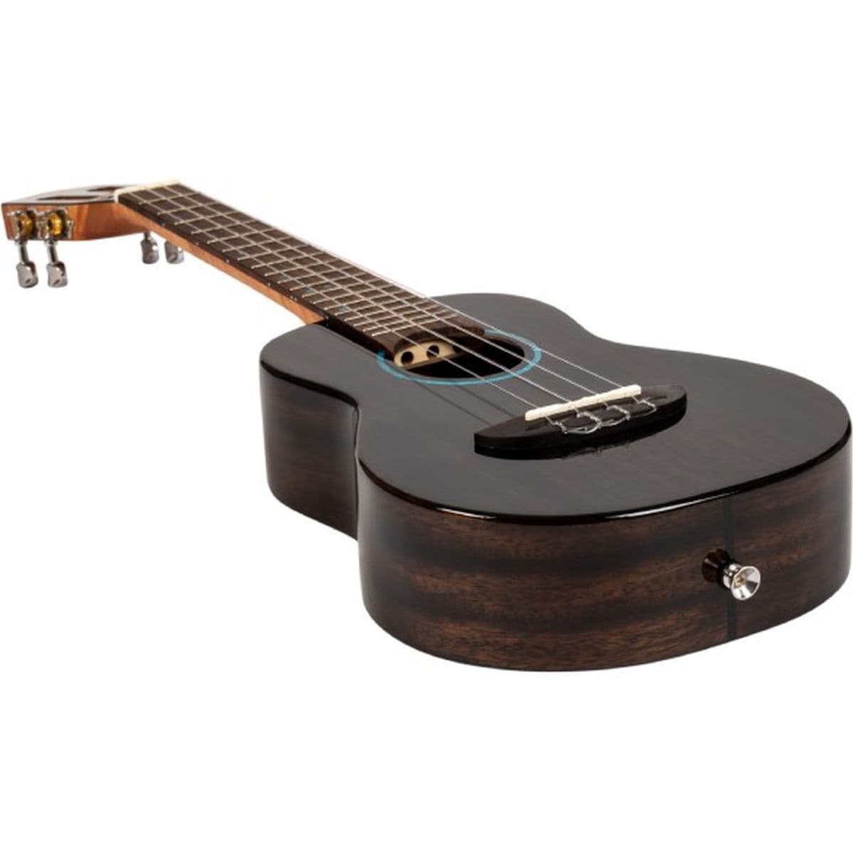 Iris Tinta Concert TBK Solid Mahog Concert Uke TR Black — Flight Ukuleles