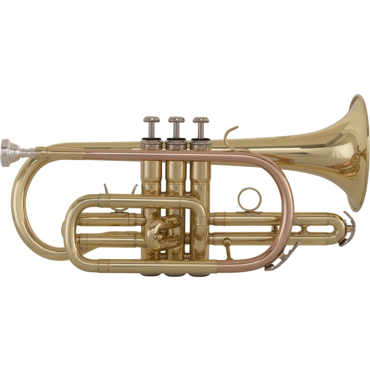 School Bb Cornet GR SC240 — Ida Maria Grassi