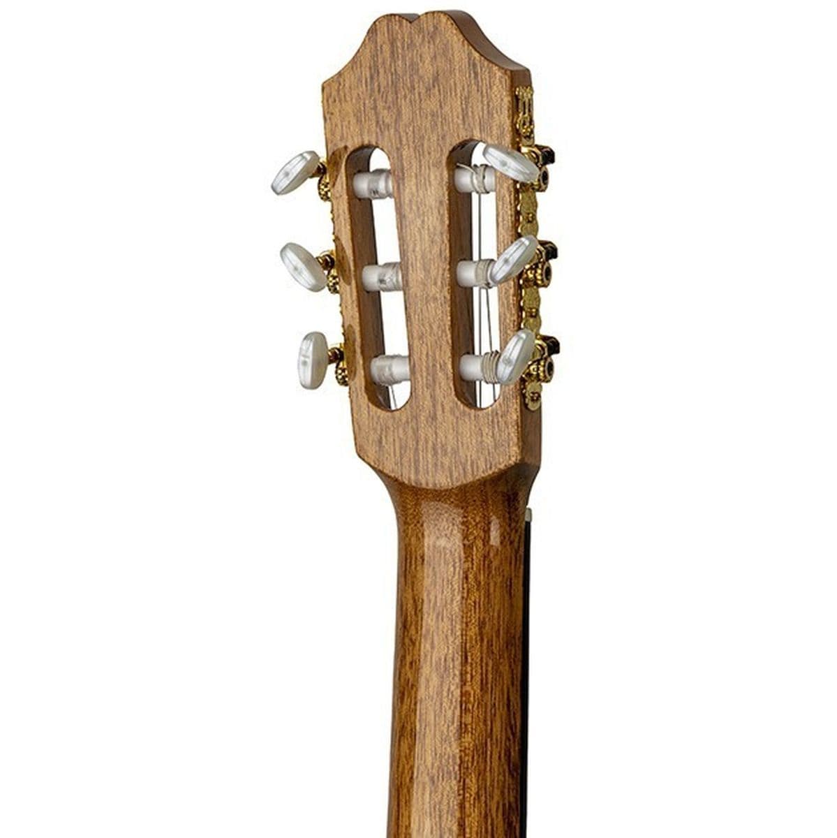 6C — Juan Salvador