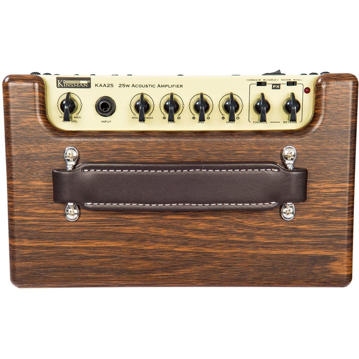 25W Acoustic Amplifier Acbattery Power — Kinsman