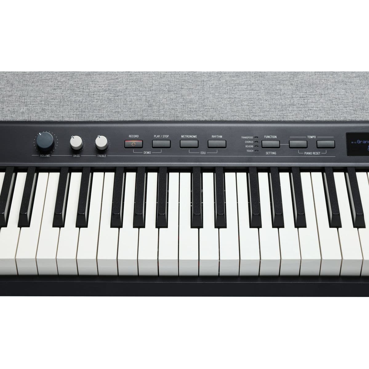 KAP1-LB — Kurzweil
