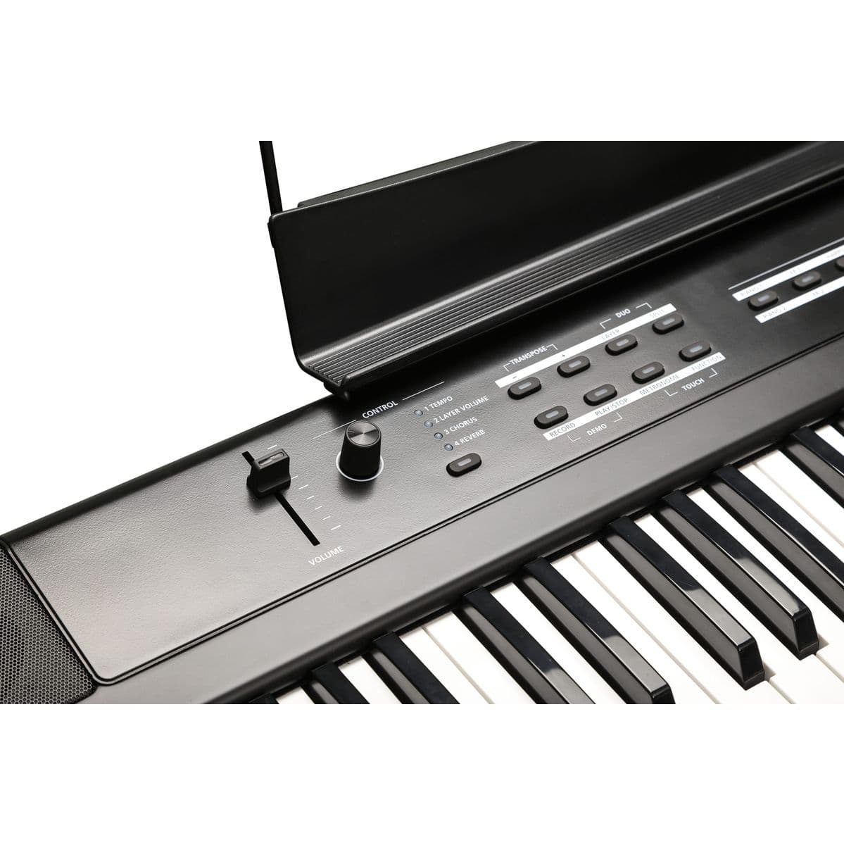 KAS1-LB — Kurzweil