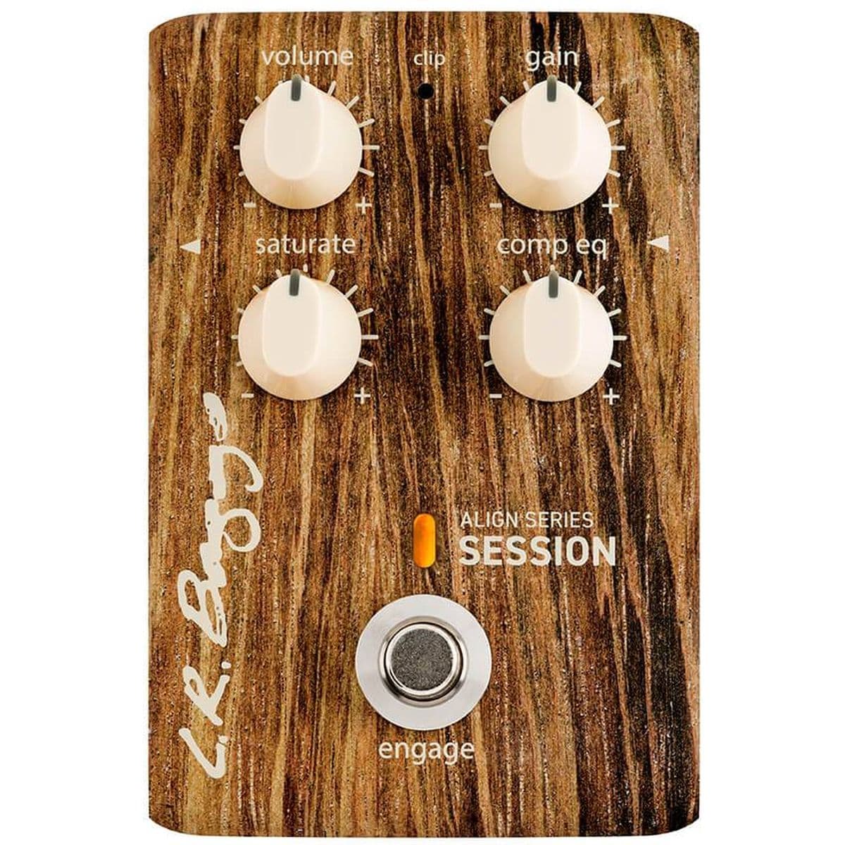 Align Session — LR Baggs