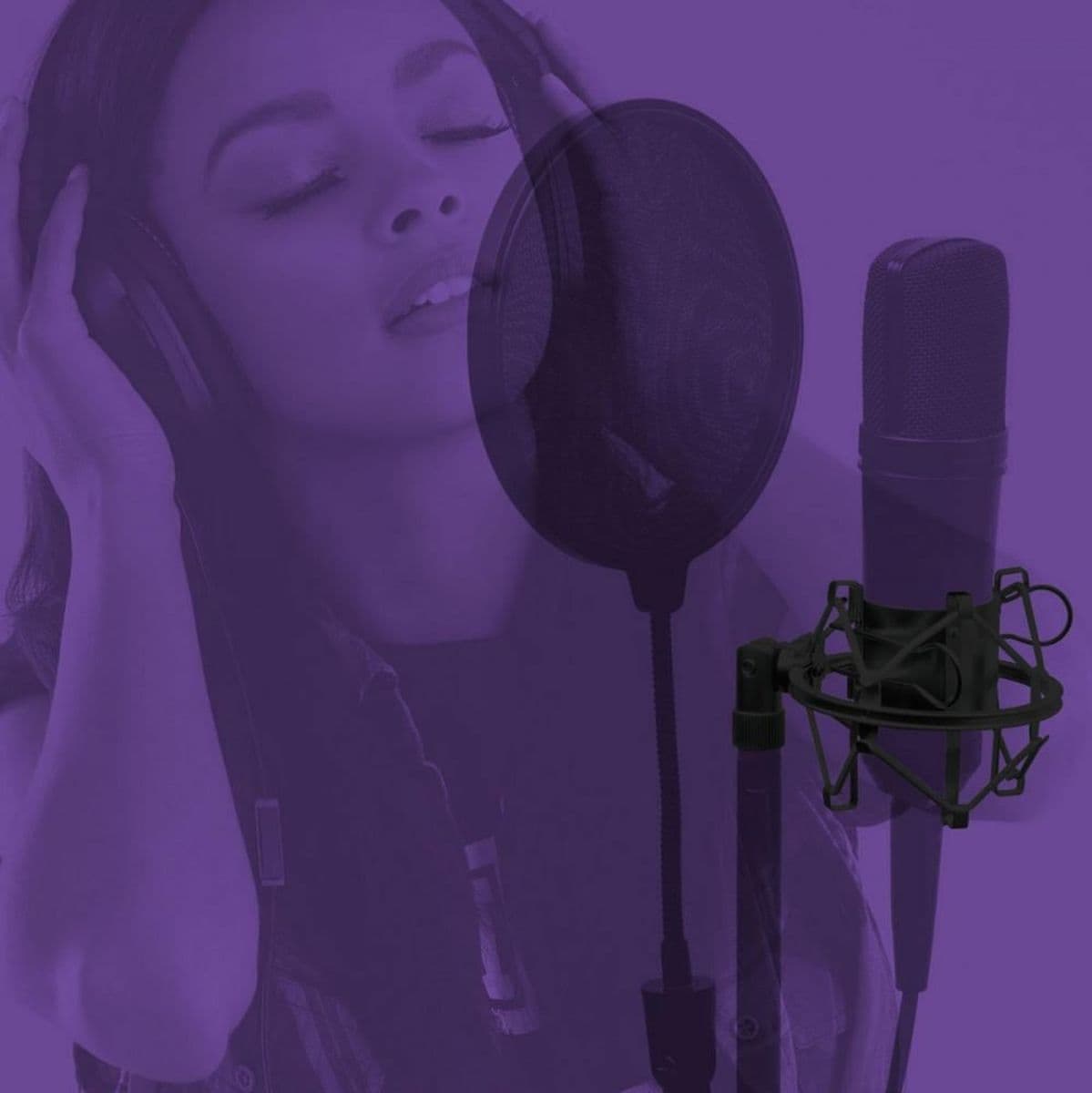 Studio Mic Shock Mount - 55-60mm Mics — OnStage