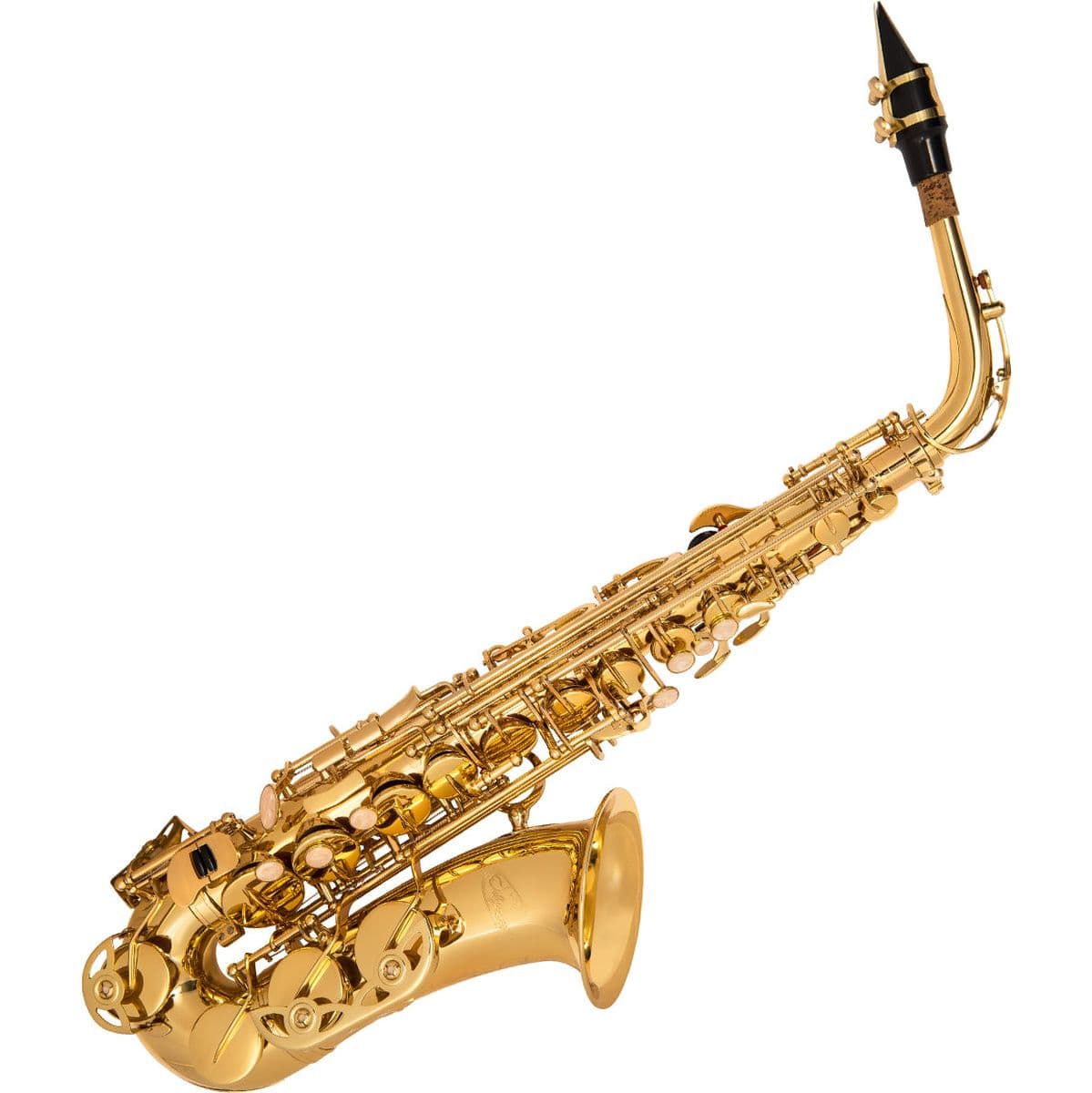 Debut Alto Sax Outfit Wcase — Odyssey