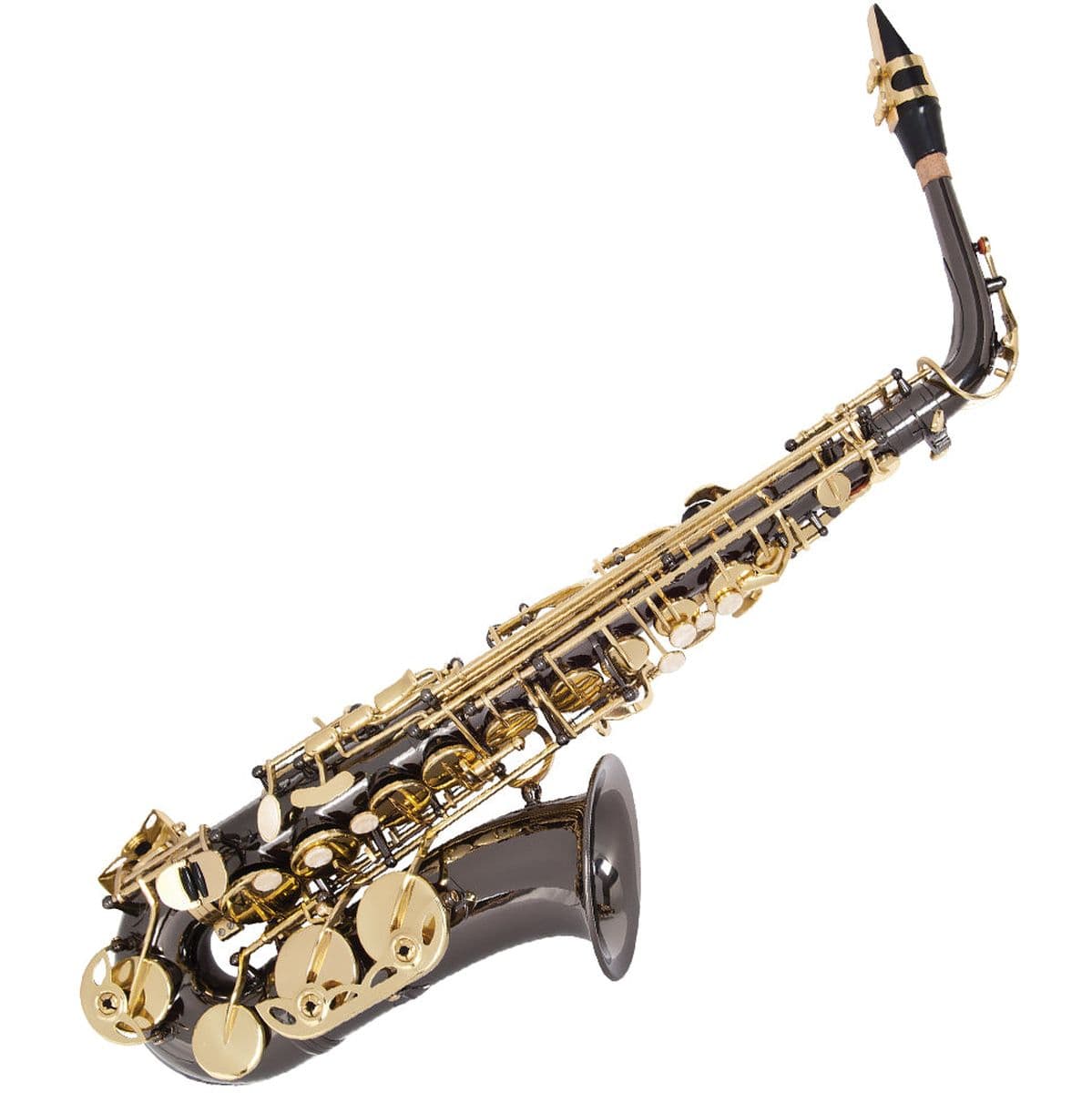 Premiere Black Alto Saxophone Wcase — Odyssey