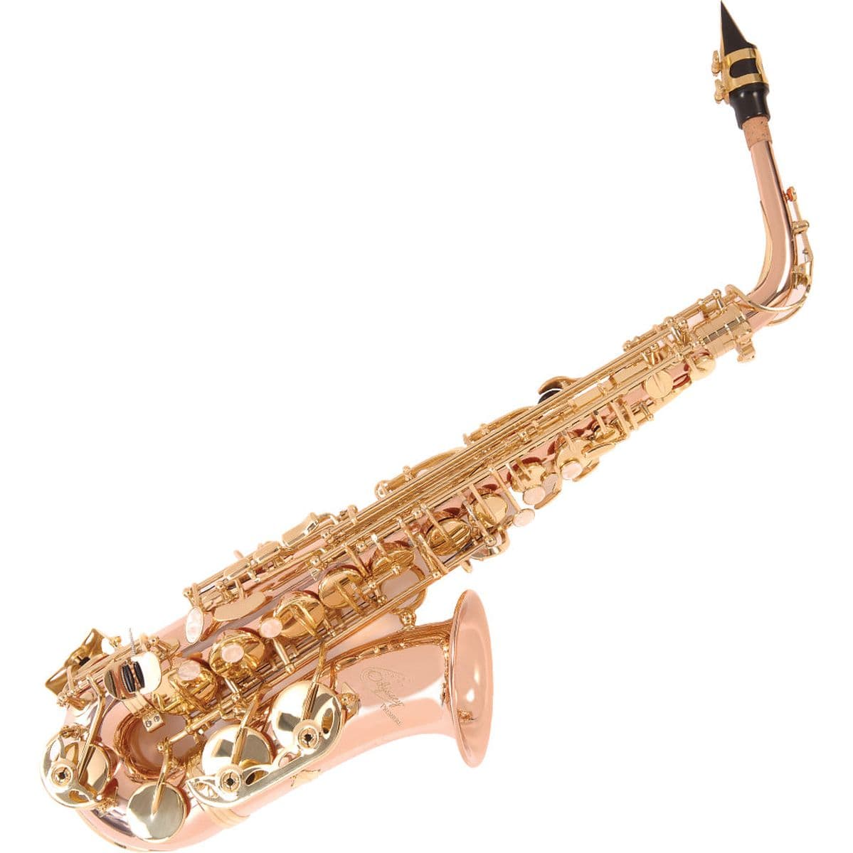Premiere Alto Saxophone Wcase — Odyssey