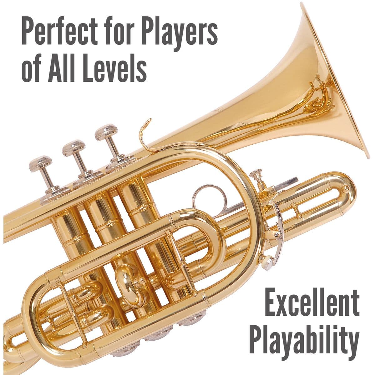 Debut Cornet w/ Case — Odyssey