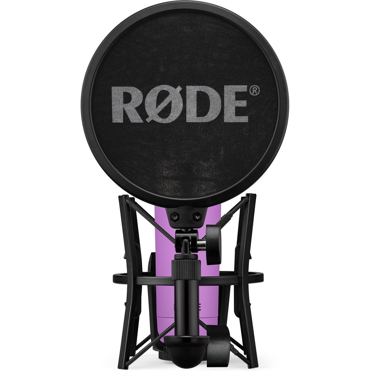 NT1 Signature Series (Purple) — RØDE