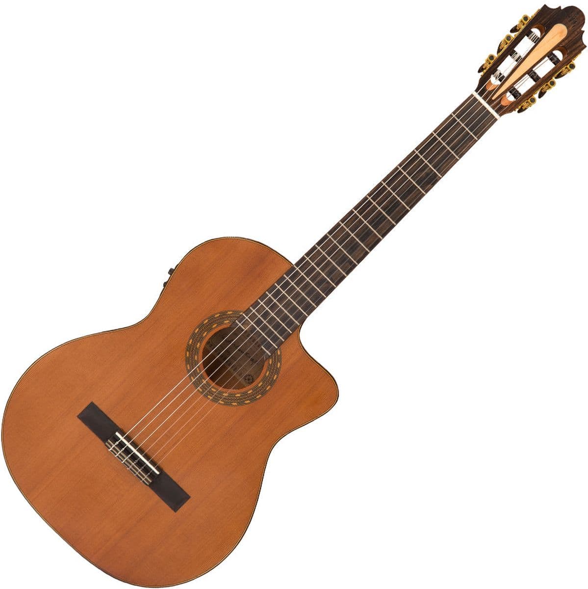 Allegro Electro CA Fusion Classic — Santos Martinez