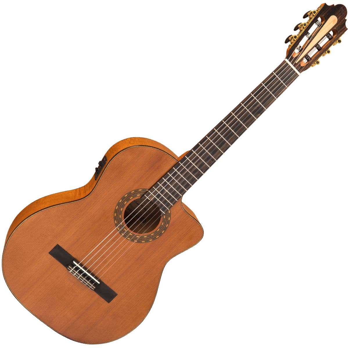 Allegro Electro CA Fusion Classic — Santos Martinez