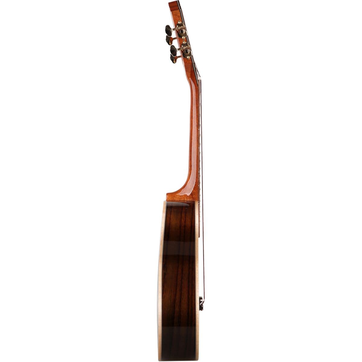 TUT 680M Ukulele Tenor w/ Luxury Cover Spruce Solid Top — Tom